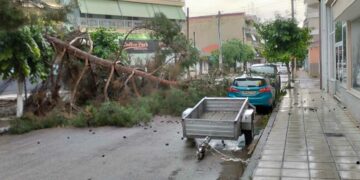 Πτολεμαΐδα: Έπεσε μεγάλο κλαρί από δέντρο πάνω σε Ι.Χ. αυτοκίνητο