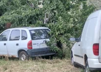 Σιάτιστα: Αρκούδες "μπούκαραν" μέσα σε σπίτι, έτρωγαν κεράσια - Βίντεο