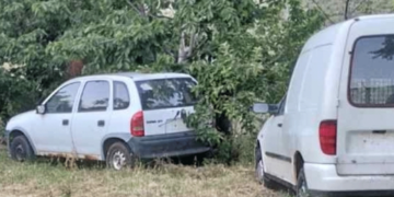 Σιάτιστα: Αρκούδες "μπούκαραν" μέσα σε σπίτι, έτρωγαν κεράσια - Βίντεο