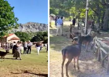 Πανηγύρισε το Εξωκλήσι του Αγίου Παντελεήμονα στον Άγιο Δημήτριο Κοζάνης-video