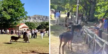 Πανηγύρισε το Εξωκλήσι του Αγίου Παντελεήμονα στον Άγιο Δημήτριο Κοζάνης-video