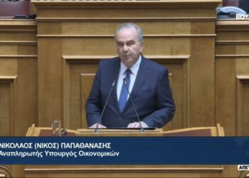 Ν. Παπαθανάσης: «Αλλαγή παραγωγικού μοντέλου στις περιοχές απολιγνιτοποίησης- Εμβληματικό έργο η αποκατάσταση εδαφών»- Τι είπε ο Αν. Υπουργός Οικονομικών στις προγραμματικές δηλώσεις- VIDEO