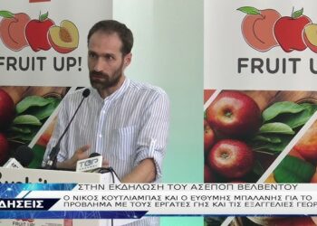 ΑΣΕΠΟΠ Βελβεντού: Μεγάλο το πρόβλημα με την εύρεση εργατών γης - Ανέφικτες οι εξαγγελίες Γεωργιάδη