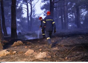 Φωτιά στη Σιταριά Φλώρινας, «σηκώθηκε» ελικόπτερο