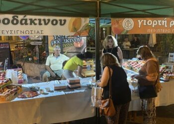 Παρουσία πλήθους κόσμου ξεκίνησε  η 17η γιορτή ροδάκινου στον Βελβεντό  (φώτο-βίντεο)