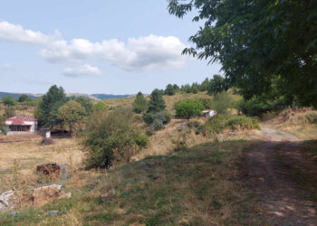 Επί ποδός ο Πολιτιστικός Ποντιακός Σύλλογος Κομνηνών για την αναβίωση του εθίμου των “ΠΑΡΧΑΡΙΩΝ”! (της Κούλας Πουλασιχίδου)