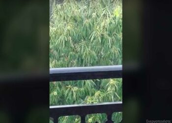 Βροχή με χαλάζι στην Ασβεστόπετρα (βίντεο)