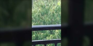 Βροχή με χαλάζι στην Ασβεστόπετρα (βίντεο)