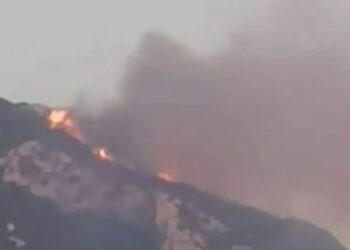 Άγιον Όρος: Καλύτερη η εικόνα της φωτιάς