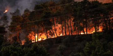 Copernicus για Έβρο: 808.000 καμένα στρέμματα ενώ η φωτιά συνεχίζεται