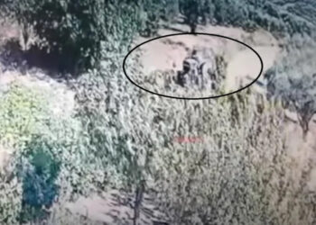 Η στιγμή που 70χρονος βάζει φωτιά στη Γόρτυνα Ηρακλείου -Βίντεο