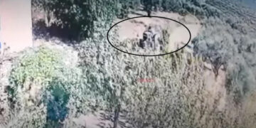 Η στιγμή που 70χρονος βάζει φωτιά στη Γόρτυνα Ηρακλείου -Βίντεο