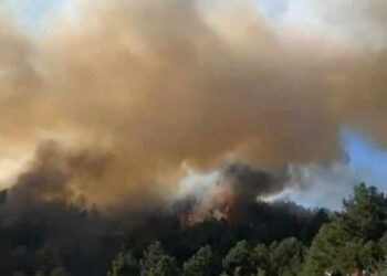 Μεγάλη φωτιά στο πευκόδασος Δεσκάτης Γρεβενών – Πάνω από σπίτια- Συναγερμός στην Πυροσβεστική -Επιχειρούν και 3 εναέρια μέσα