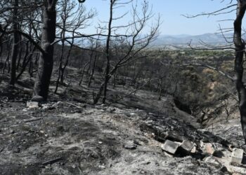 Πέθανε άντρας που πήγε να σώσει τα μελίσσιά του από τη φωτιά – Ο έκτος νεκρός φέτος