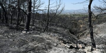 Πέθανε άντρας που πήγε να σώσει τα μελίσσιά του από τη φωτιά – Ο έκτος νεκρός φέτος