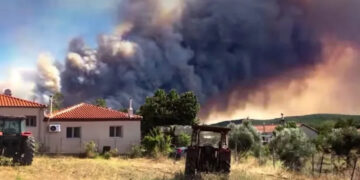 Φωτιά στην Αλεξανδρούπολη: Ανεξέλεγκτο το μέτωπο – Ενισχύθηκαν ξανά οι άνεμοι