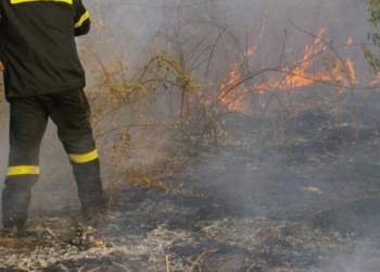 Φωτογραφία αρχείου