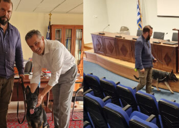 Η Ντίβα, το γερμανικό ποιμενικό της ΕΛ.ΑΣ. που έκλεψε τις εντυπώσεις το πρωί στη ΖΕΠ