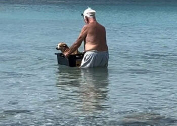 Viral ο ηλικιωμένος που κάνει... βαρκάδα τον σκύλο του - Δείτε βίντεο