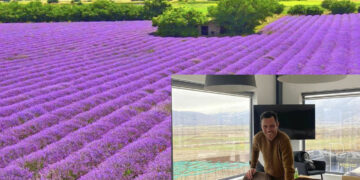 Ν. Μαλίνης (Herbs & Oils): «Κακή η χρονιά στη λεβάντα λόγω των καιρικών συνθηκών, αλλά καλύτερη η ποιότητα από πέρυσι»