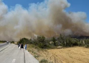 Στη μάχη με τις φλόγες οι Ένοπλες Δυνάμεις -Η συνδρομή στα μέτωπα Αλεξανδρούπολης, Ψαχνών, Βοιωτίας
