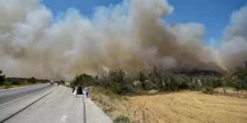 Στη μάχη με τις φλόγες οι Ένοπλες Δυνάμεις -Η συνδρομή στα μέτωπα Αλεξανδρούπολης, Ψαχνών, Βοιωτίας