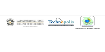 Τα αποτελεσμάτα του Υποέργου 2 της Πράξης «Συμβουλευτική – Κατάρτιση – Πιστοποίηση Ανέργων στον τομέα Παραγωγής και Εμπορίας Γούνας