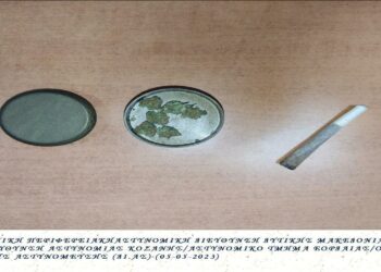 Συνελήφθησαν από αστυνομικούς της Διεύθυνσης Αστυνομίας Κοζάνης 5 άτομα, σε περιοχές της Πτολεμαΐδας και της Κοζάνης κατά το πενθήμερο 05 έως 10 Αυγούστου, για κατοχή ναρκωτικών ουσιών