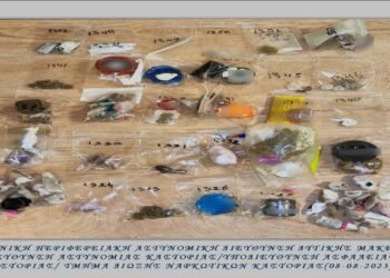 Συνελήφθησαν 30 άτομα το τις τελευταίες 7 μέρες  από αστυνομικούς του Τμήματος Δίωξης Ναρκωτικών της Υποδιεύθυνσης Ασφάλειας Καστοριάς