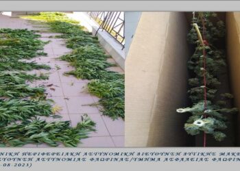 Φλώρινα: 54χρονος είχε μετατρέψει το σπίτι του σε οργανωμένο τόπο καλλιέργειας κάνναβης