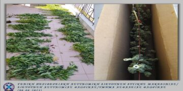 Φλώρινα: 54χρονος είχε μετατρέψει το σπίτι του σε οργανωμένο τόπο καλλιέργειας κάνναβης