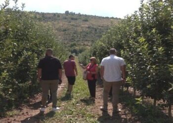 Στο πλευρό των δενδροκαλλιεργητών του Μεσοβούνου που επλήγησαν από τη χαλαζόπτωση ο Δήμος Εορδαίας