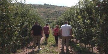 Στο πλευρό των δενδροκαλλιεργητών του Μεσοβούνου που επλήγησαν από τη χαλαζόπτωση ο Δήμος Εορδαίας