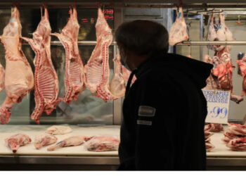 Φρίκη στο Μεσολόγγι: Πήγε να καθαρίσει μηχανή του κιμά και διαμελίστηκε μπροστά στην κόρη της