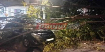 Απίστευτο περιστατικό στην Πάτρα: Δέντρο έπεσε πάνω σε γυναίκα ενώ περίμενε να πάρει το παιδί της από το φροντιστήριο