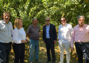 Γιώργος Αμανατίδης-«Συμμαχία για την Ανάπτυξη»: Με τους αγρότες σε Μανιάκι, Αντίγονο και Πελαργό