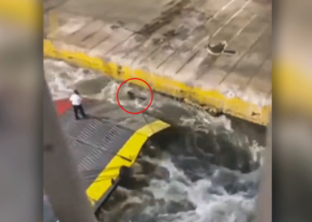 Blue Horizon: Στο στόχαστρο και το Λιμενικό για τον θάνατο του Αντώνη που τον έσπρωξαν από τον καταπέλτη