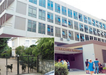 Στο Εφετείο η υπόθεση του άτυχου 5χρονου Στάθη- Έχασε τη ζωή του από επίθεση σκύλων σε κατοικία της Κοζάνης το Πάσχα του 2016