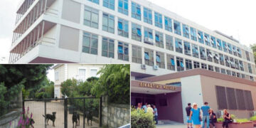 Στο Εφετείο η υπόθεση του άτυχου 5χρονου Στάθη- Έχασε τη ζωή του από επίθεση σκύλων σε κατοικία της Κοζάνης το Πάσχα του 2016