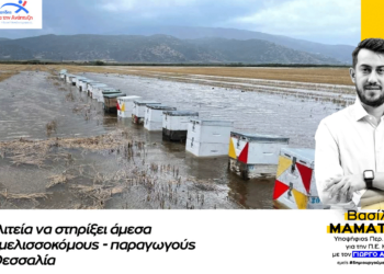 Δήλωση για τις καταστροφές στην Θεσσαλία από τον Μαμάτσιο Βασίλη, υποψήφιο Περ. Σύμβουλο με τον Γ. Αμανατίδη