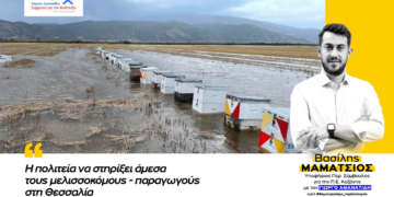 Δήλωση για τις καταστροφές στην Θεσσαλία από τον Μαμάτσιο Βασίλη, υποψήφιο Περ. Σύμβουλο με τον Γ. Αμανατίδη