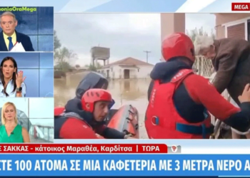 «Είμαστε 100 άτομα εγκλωβισμένα σε καφετέρια, έχουμε 10 μωρά, δεν σηκώνει κανείς το τηλέφωνο»