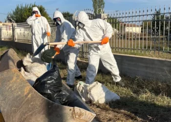 ΓΕΕΘΑ: Οι ‘Ενοπλες Δυνάμεις συνδράμουν και στην περισυλλογή νεκρών ζώων στη Θεσσαλία