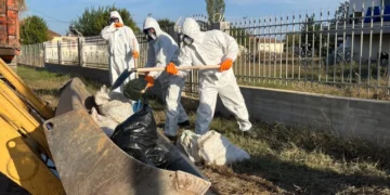 ΓΕΕΘΑ: Οι ‘Ενοπλες Δυνάμεις συνδράμουν και στην περισυλλογή νεκρών ζώων στη Θεσσαλία