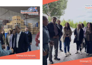 Επίσκεψη κλιμακίου της "Συμμαχίας για την Ανάπτυξη" του Γιώργου Αμανατίδη στη ΓΕΟ Καστοριάς