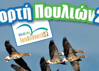 Έρχεται η «Ευρωπαϊκή Γιορτή Πουλιών 2023» στην Καστοριά