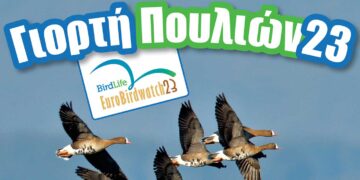 Έρχεται η «Ευρωπαϊκή Γιορτή Πουλιών 2023» στην Καστοριά