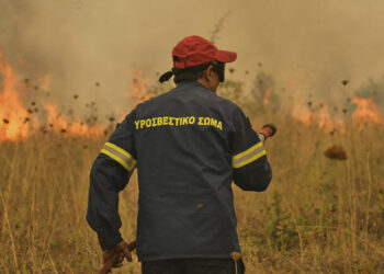 Έβρος: Σε πύρινο κλοιό για 14η ημέρα - Εφιαλτική νύχτα στο Σουφλί