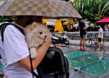 Μeteo: Έρχεται κακοκαιρία σε όλη τη χώρα, μόνο στον Έβρο δεν θα βρέχει -Δείτε τον χάρτη