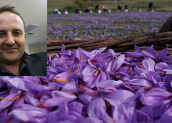 Ανοίγει κι άλλο τα φτερά του στις διεθνείς αγορές ο κρόκος Κοζάνης -Ο Συνεταιρισμός κροκοπαραγωγών πέτυχε συνεργασία με μεγάλη πολυεθνική εταιρεία